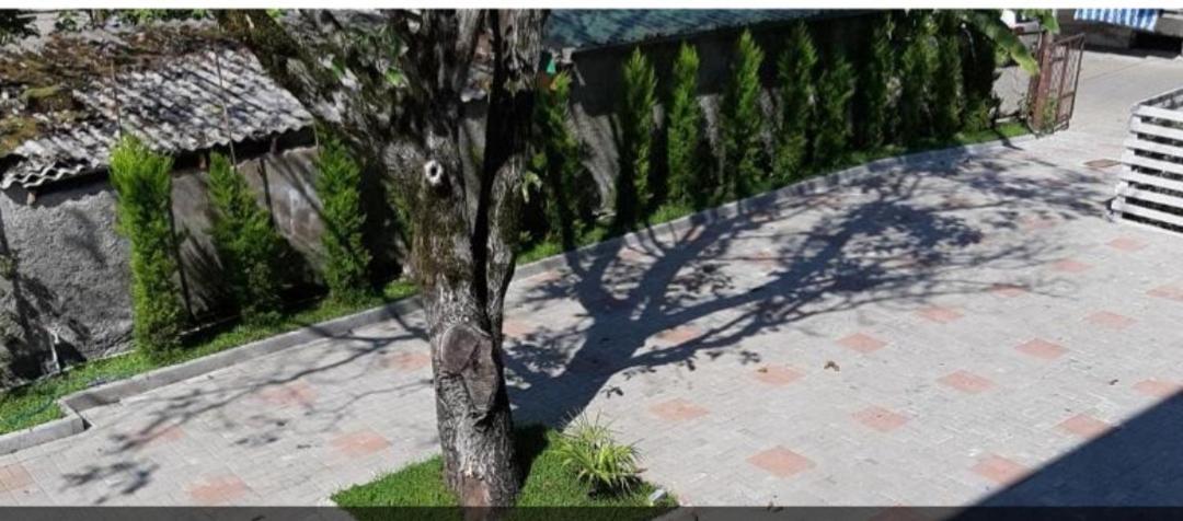 Hotel Sunny Days Kobuleti Exterior foto
